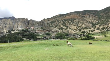 Annapurna Circuit Trek 7 Days